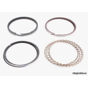 КОЛЬЦО ПОРШНЕВОЕ (R1+0,25) К-Т 491 БЕНЗИН GW DEER SAFE Euro-II 1004100-E00-B1