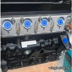 ДВИГАТЕЛЬ В СБОРЕ БЕЗ НАВЕСНОГО 491 QE GW DEER, SAFE, WINGLE 1000100-E01